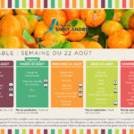 Menus de la semaine du 22 août 2022