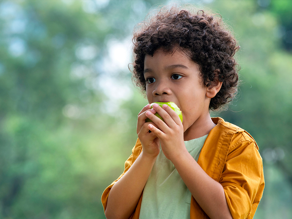 RESTAURATION SCOLAIRE Saintandré