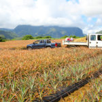 DÉCLARATION DE PERTE - AGRICULTEURS