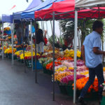 TOUSSAINT – CIRCULATION & MARCHÉ AUX FLEURS