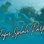 SPLASH PARK COLOSSE